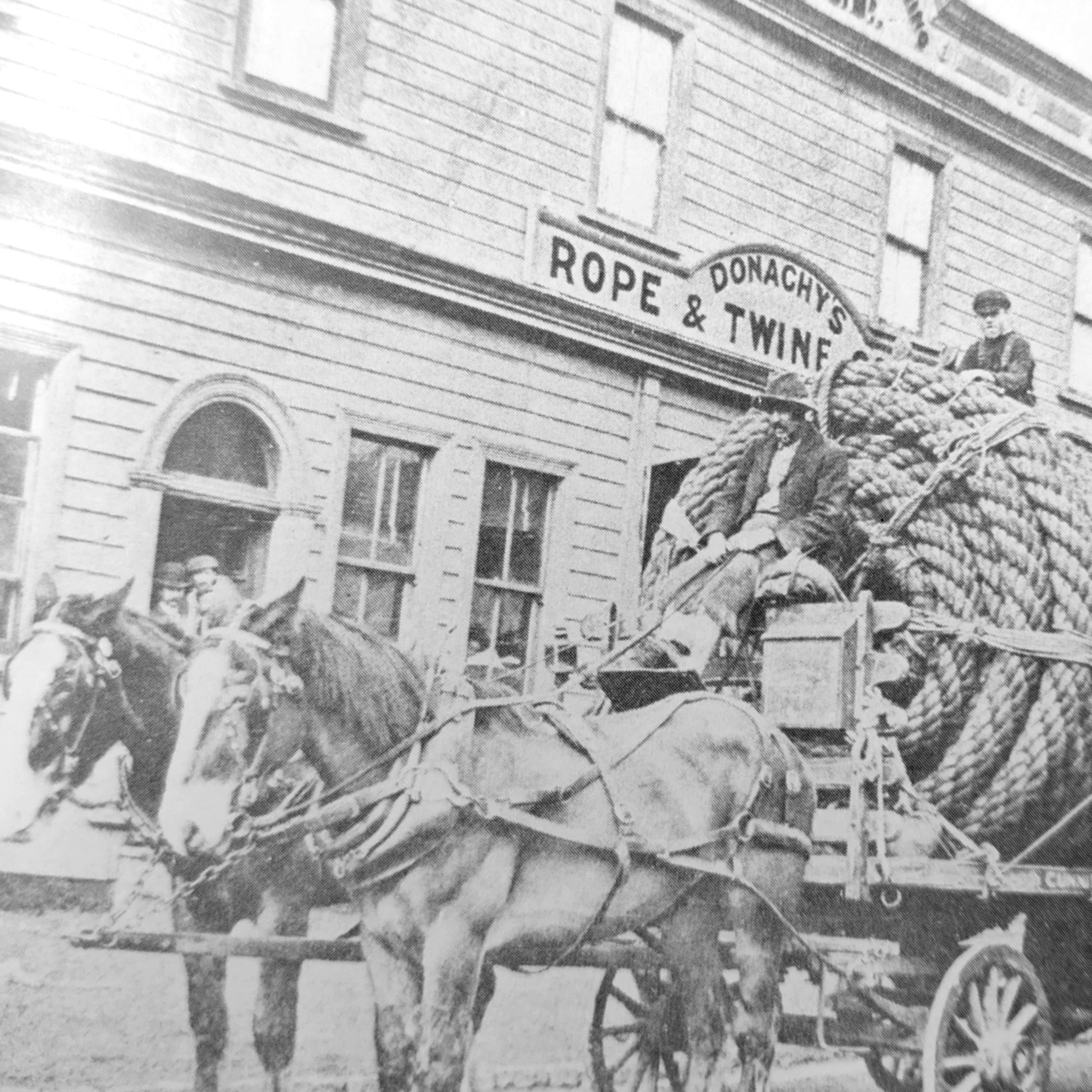 The Donaghys building in 1876