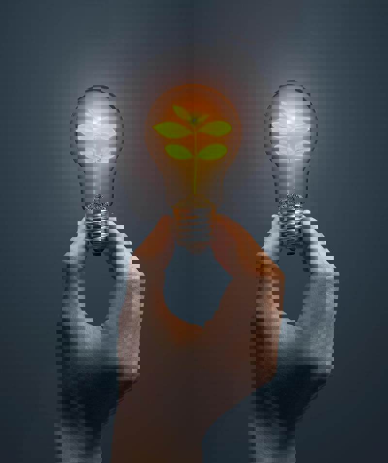 Green leaf in light bulb