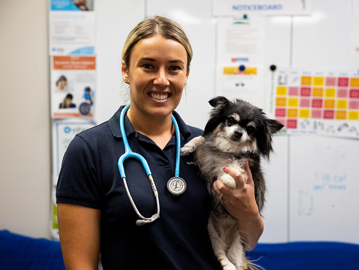 a Nexeus Global vet holding a dog, now safely recovered after quick implementation of relevant strategies