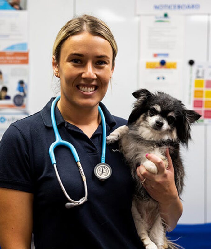 a Nexeus Global vet holding a dog, now safely recovered after quick implementation of relevant strategies